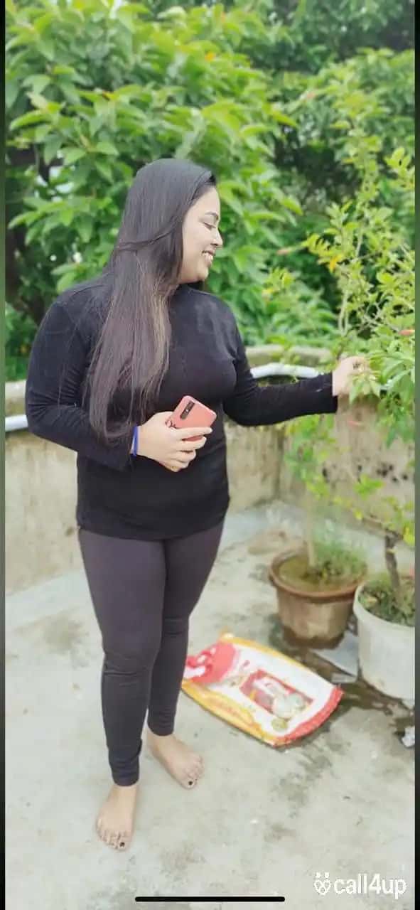 Sikar mast 361625